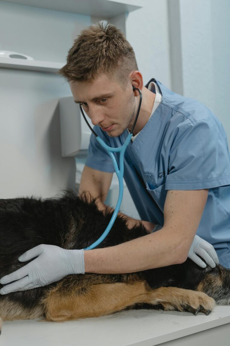 Owner with dog reviewing how pet insurance works