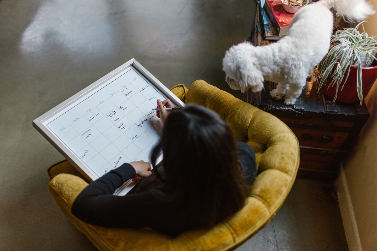 Person writing on a calendar with a dog nearby